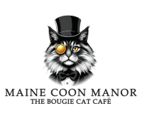 Maincoon Manor Cat Cafe